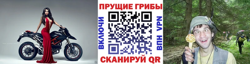 Галлюциногенные грибы Cubensis  Сосногорск 